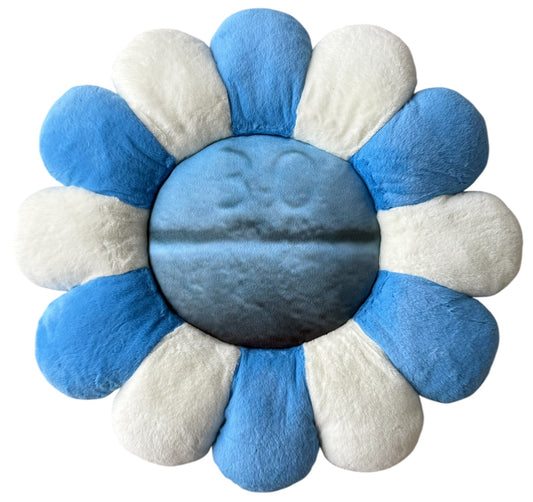 2. Pain Pillow